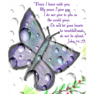 Butterfly with Raindrops