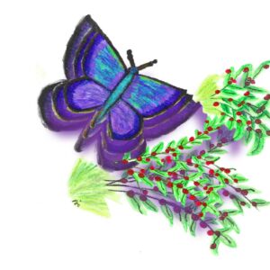 Butterfly in 3D-Spanish