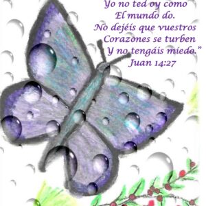 Butterfly with Raindrops-Spanish