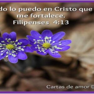Filipenses 4:13