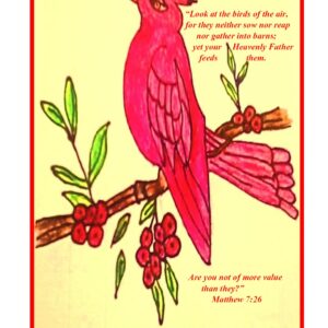 Peggy's Cardinal, Mt. 7:26
