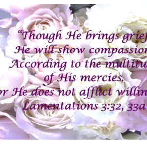 Purple Roses, Lamentations 3:32