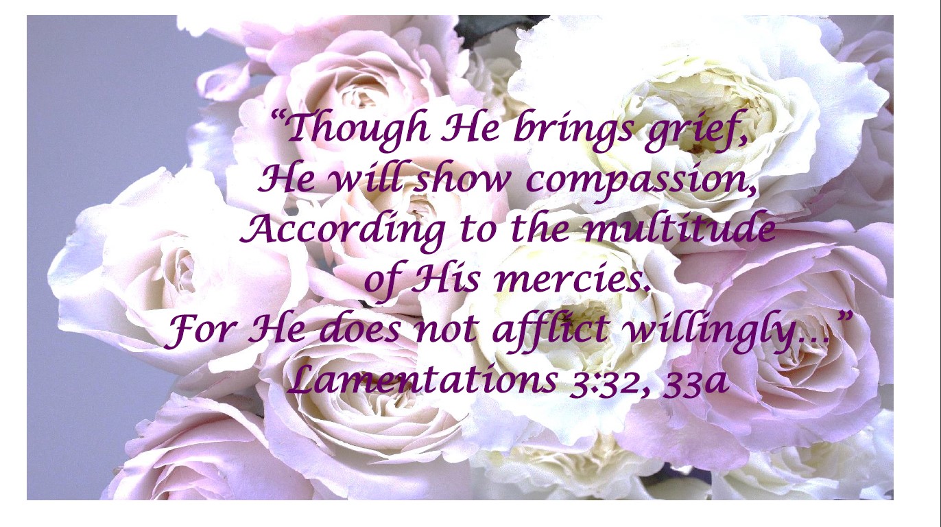 Purple Roses, Lamentations 3:32