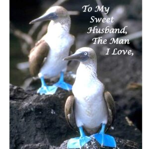To My Sweet Husband
