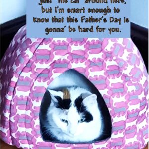 Father's Day-Cat in Tent, Blue