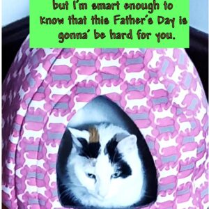 Father's Day-Cat in Tent, Green