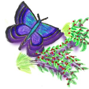 Peggy's Butterfly--3D